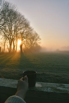 a person holding a coffee cup in front of a foggy field with trees on the other side