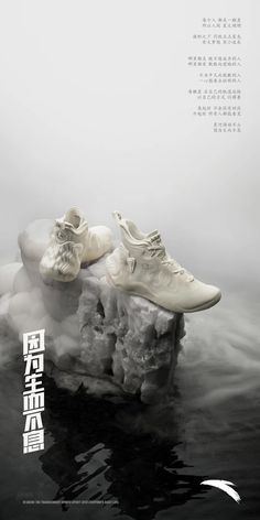 two white shoes sitting on top of a rock in the water with chinese characters above them