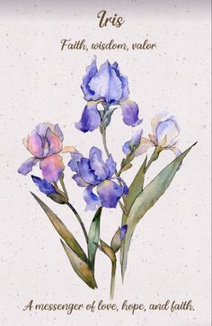 a watercolor painting of blue flowers with the words iris on it