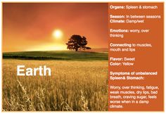 Earth Element in TCM Tcm Spleen, Spleen Meridian, Spleen Qi Deficiency, A Yuan, Qi Deficiency, Weight Smoothies, Smoothie Diet Recipes, Lymph Node, Acupuncture Point