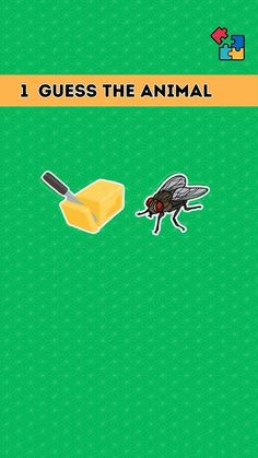 an animal that is next to a piece of butter on a green background with the words, i guess the animal