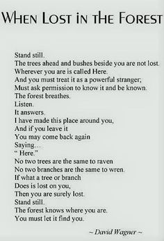 a poem written in black and white with the words when lost in the forest