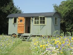 a small green shed sitting in the middle of a field full of wildflowers