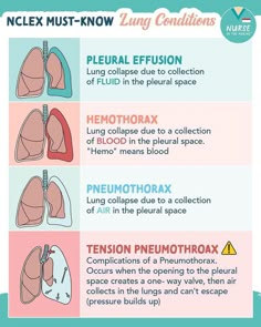 the different types of lungs and their functions in this info sheet, which shows how they are