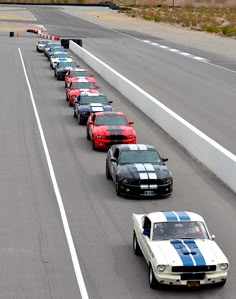 there are many cars that are lined up on the race track and one is white with blue stripes