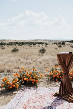 an open field with orange flowers on the ground and a table cloth draped over it