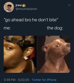 two pictures with one dog and the other has an image of a man's face