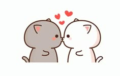 two cats that are kissing each other with hearts flying above their heads on a white background