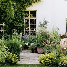 an outdoor garden with potted plants and flowers in front of a house on a sunny day