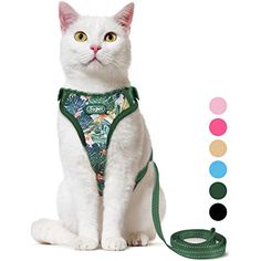 a white cat wearing a green harness with tropical print on the front and side, sitting next to a leash