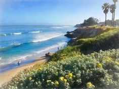 people are walking on the beach near the water and palm trees with yellow flowers in the foreground