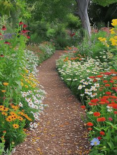 Garden Path Ideas: Colorful Woodchip Garden Path Garden Path Ideas, Functional Garden, Path Ideas, New Garden, Wildflower Garden, Garden Path