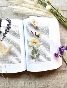 an open book with dried flowers on it next to some dead grass and lavenders