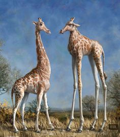 two giraffes standing next to each other with a speech bubble above them