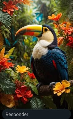 a colorful toucan sitting on top of a tree branch with flowers around it