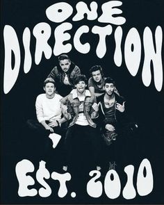 one direction concert poster with the band