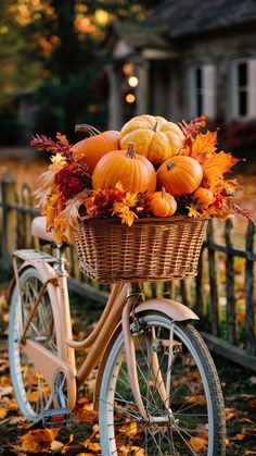 a basket full of pumpkins sitting on top of a bike