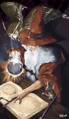 a wizard reading a book with an owl hovering over it