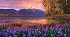 the mountains are covered in colorful flowers and trees, while the water is still calm