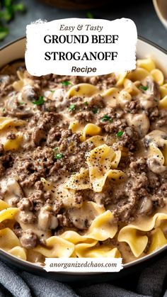 a close up of a plate of ground beef stroganoni