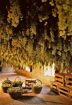 a bunch of baskets sitting on top of a wooden floor next to a tree filled with flowers