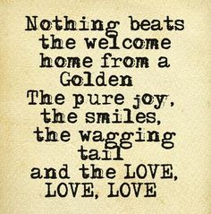 a quote on love that says nothing beats the welcome home from a golden, the pure joy