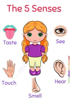 an image of the five sensess for children to learn how to use their hands