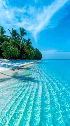 the water is crystal blue and clear with white sand on it's sides, surrounded by palm trees