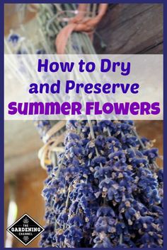 how to dry and preserve summer flowers