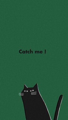 a black cat with the words catch me on it