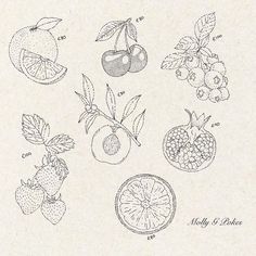 an old drawing of various fruits and vegetables