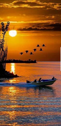 there is a boat that is out on the water at sunset with birds flying in the sky