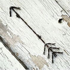 an image of a plant growing out of the side of a wooden wall with nails sticking out of it