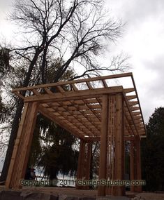 a wooden structure sitting in the middle of a forest next to a tall leafless tree