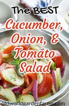 the best cucumber, onion and tomato salad in a bowl with text overlay