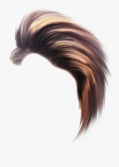 an abstract photograph of a long hair with brown and black streaks on it's side