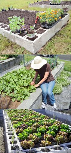 a woman kneeling down in front of a garden filled with lots of plants and vegetables