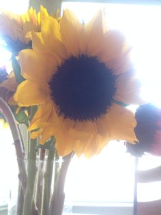 sunflowers are in a clear vase on the windowsill