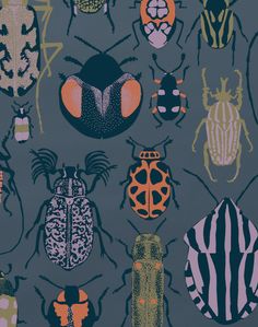 an image of many different bugs on the wall