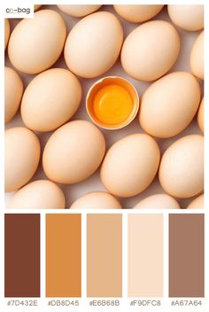 an egg is surrounded by eggs with different colors and sizes, including brown, orange, yellow