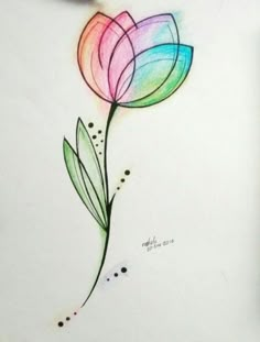 a drawing of a flower with colored petals