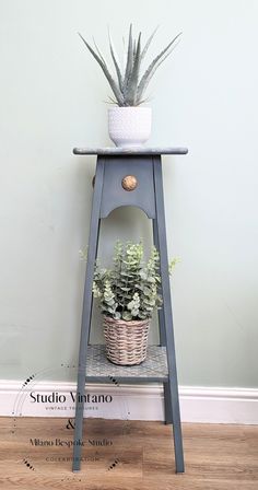 a potted plant sitting on top of a wooden shelf next to a wall and floor