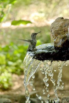 a bird is sitting on top of a water faucet with the words in arabic above it