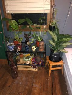 several houseplants are arranged on a shelf in front of a window