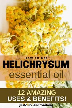 sensitive Benefits Of Helichrysum Essential Oil, Helichrysum Essential Oil Benefits, Helichrysum Essential Oil Uses, Essential Oil Dilution Chart, Herbs Remedies, Helichrysum Essential Oil, Essential Oil Combinations, Face Serums, Diy Essential Oil Recipes