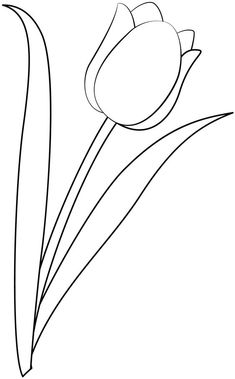 the outline of a flower is shown in black and white, with long stems on each side