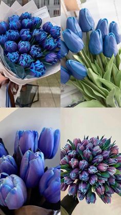 there are three pictures of different flowers in the same vases, one is blue and the other has purple tulips