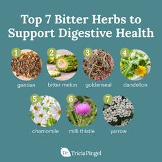 Have you ever heard of bitter herbs? Adding them to your diet can be a great way to help improve your digestive health, but sometimes they can be an acquired taste. Don’t worry, though; I've just released a brand new article to walk you through which digestive bitters best support your gut health and how you can use them to get maximum results! Bitter Herbs, Digestive Bitters, Medical Herbs, Herbal Apothecary, Natural Antibiotics, Herbs For Health, Milk Thistle, Natural Therapy