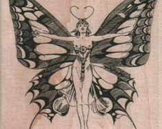 a drawing of a butterfly with wings