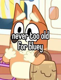 an orange and white cat with the words never too old for bluey